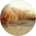 Izz Niyaz profile picture